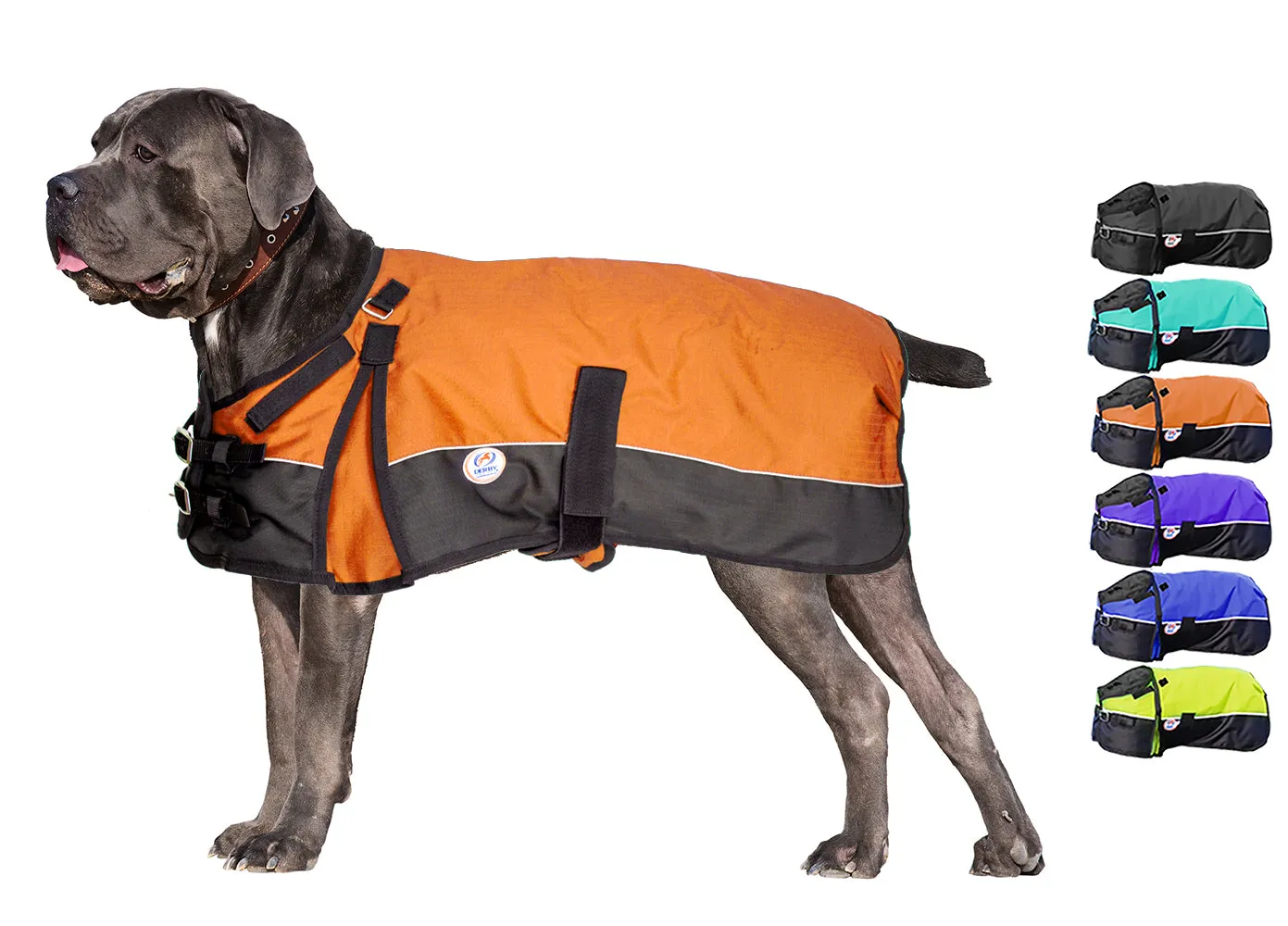 Derby Originals Adjust-to-Fit Horse-Tough Reflective 600D Waterproof Ripstop Nylon Winter Dog Coat 150g Polyfil with One Year Warranty