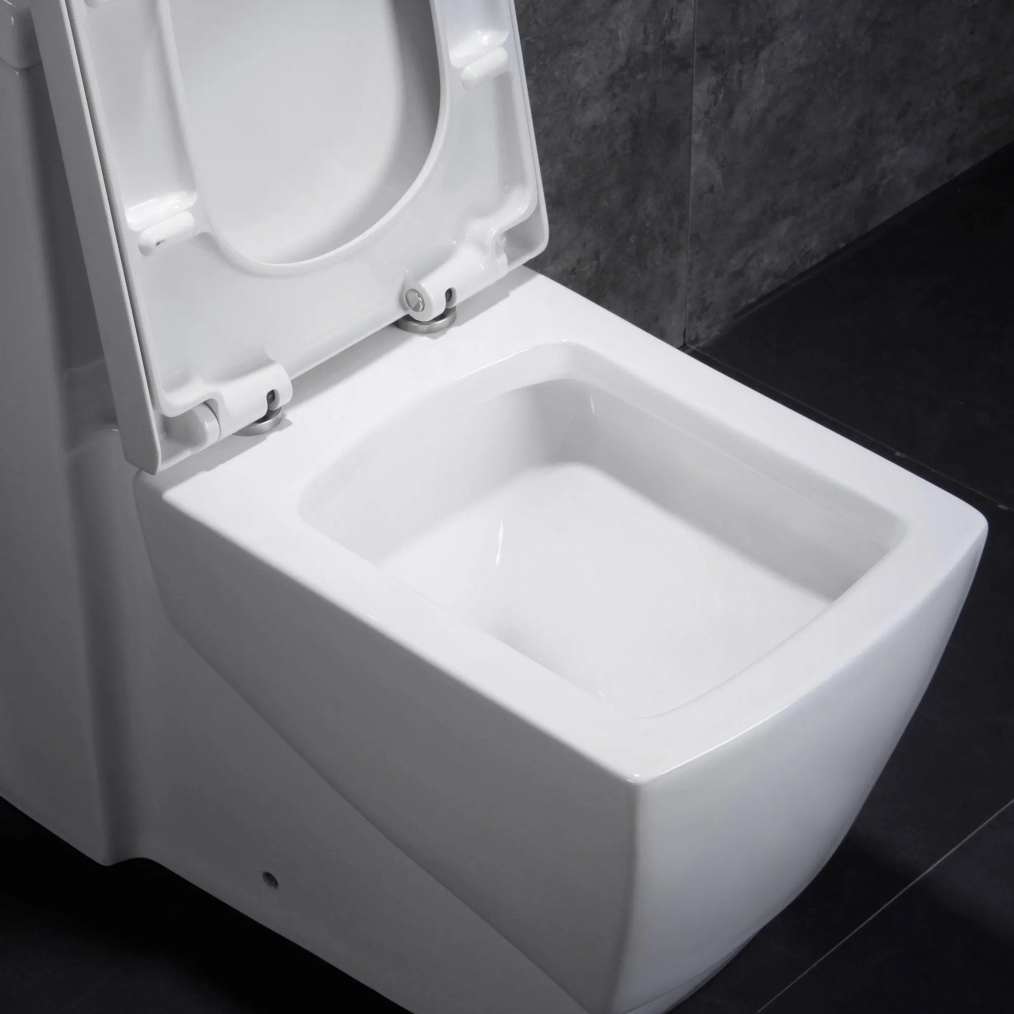 Dual Flush One Piece Modern LT5 Toilet