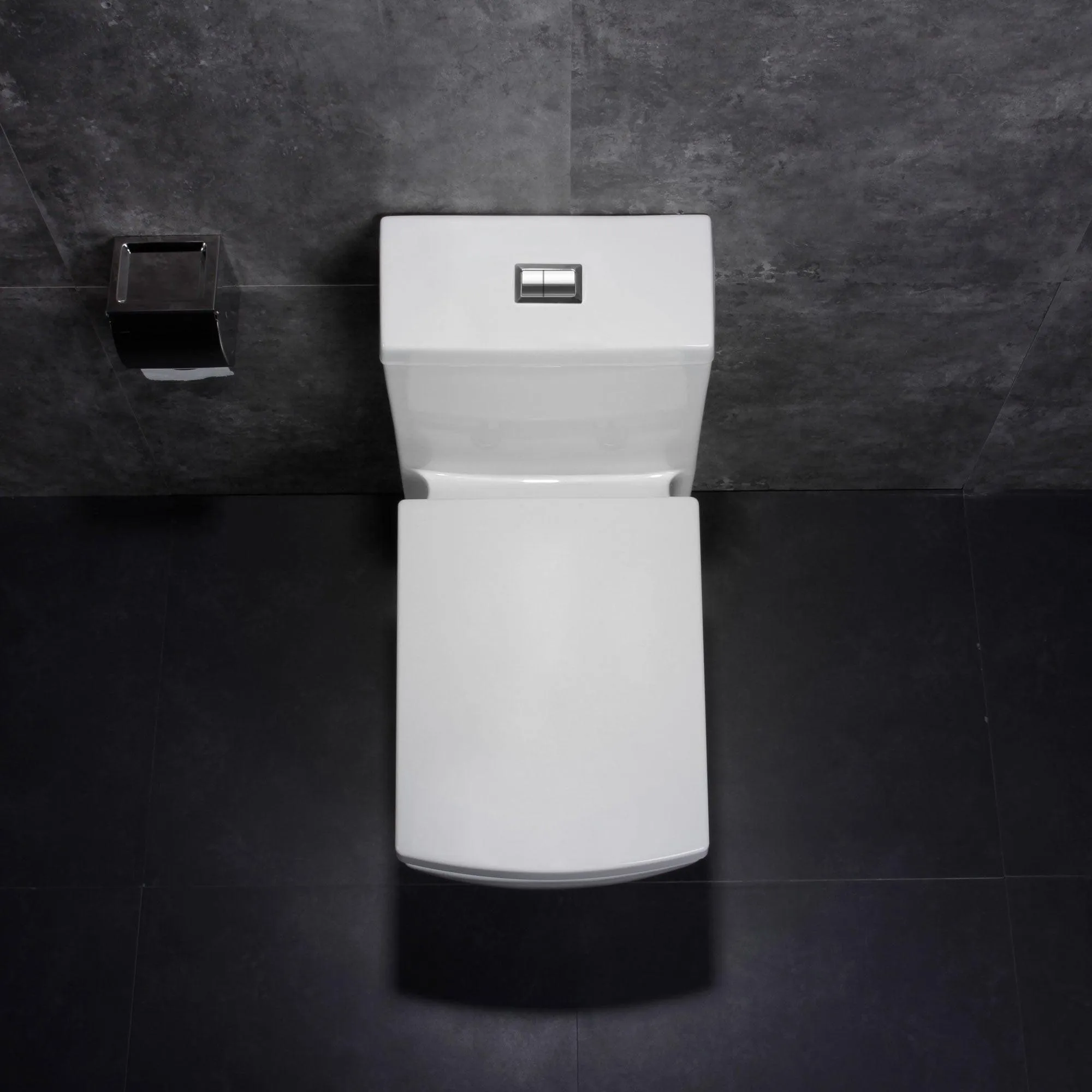 Dual Flush One Piece Modern LT5 Toilet