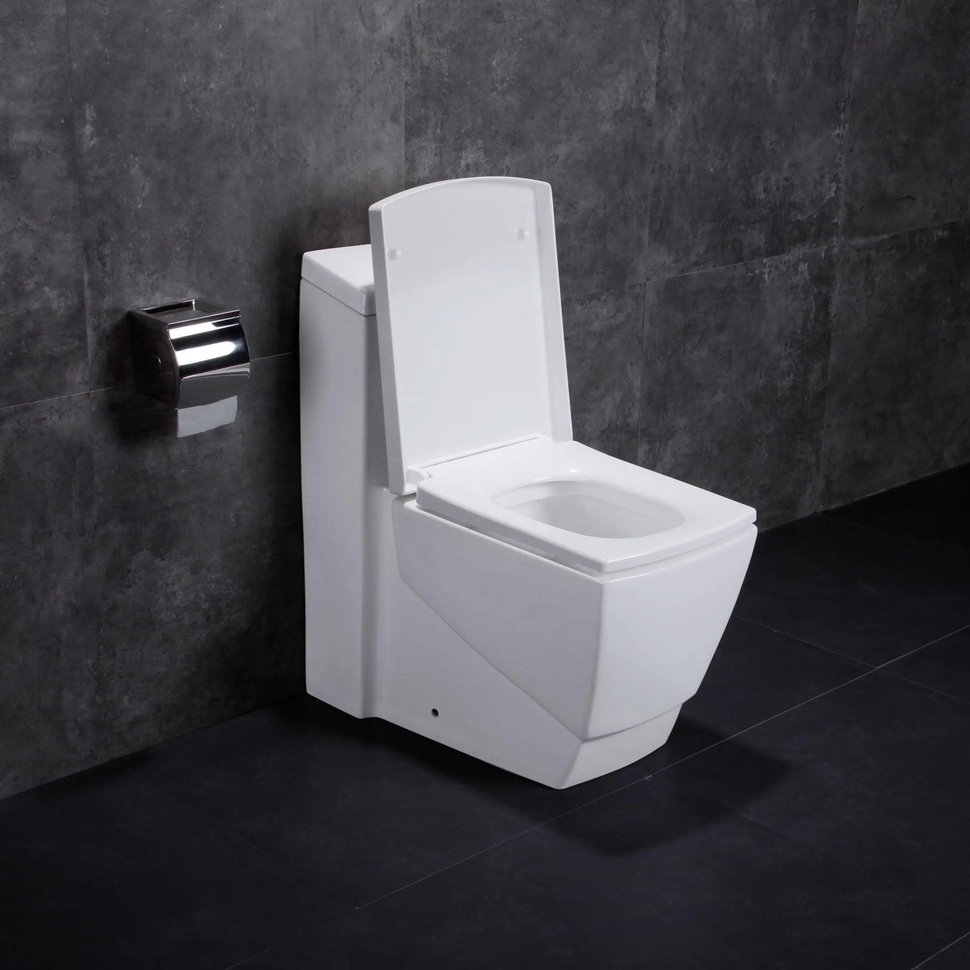 Dual Flush One Piece Modern LT5 Toilet