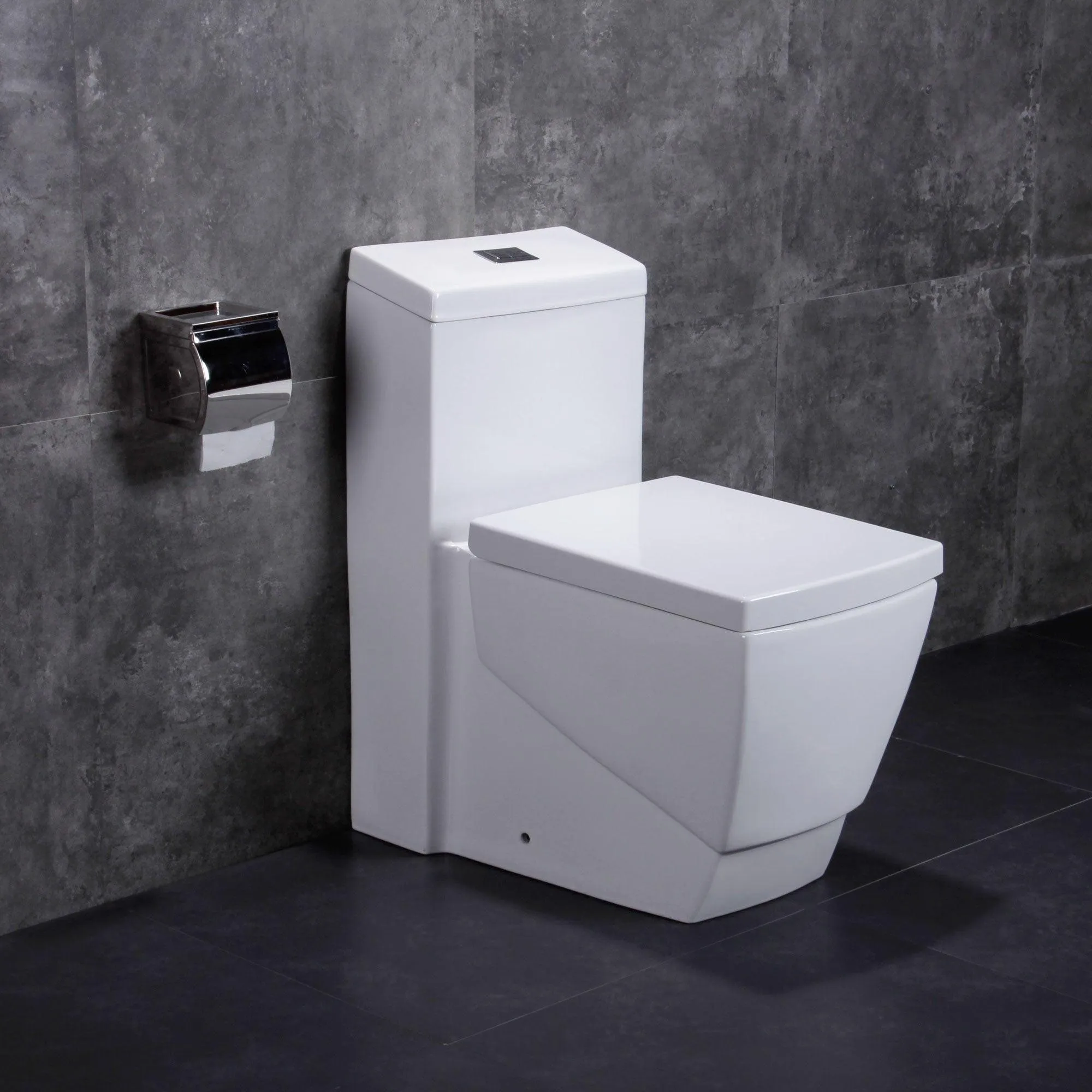 Dual Flush One Piece Modern LT5 Toilet