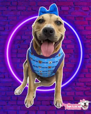 End BSL - PAWjama with Purple Neck & Trim/Sleeves