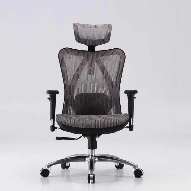 Ergonomic Mesh Office Chair with 3D Armrest & Lumbar Support by Sihoo