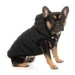 Luxury Aspen Dog Jacket - Black