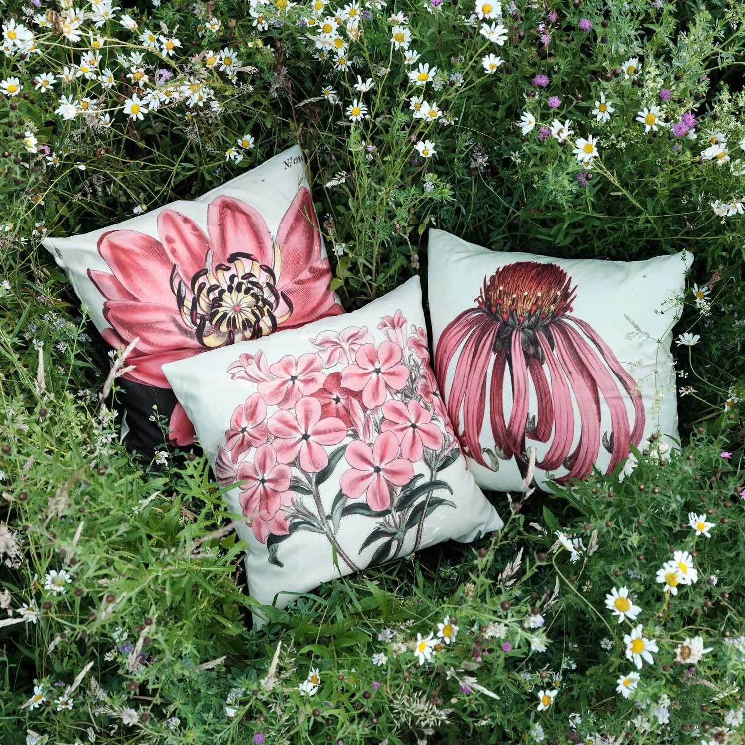 Velvety Erythrina - Botanical Outdoor Cushion